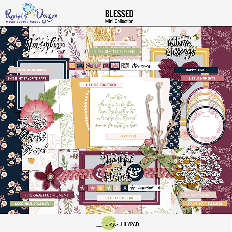 Blessed | Collection - Image 4