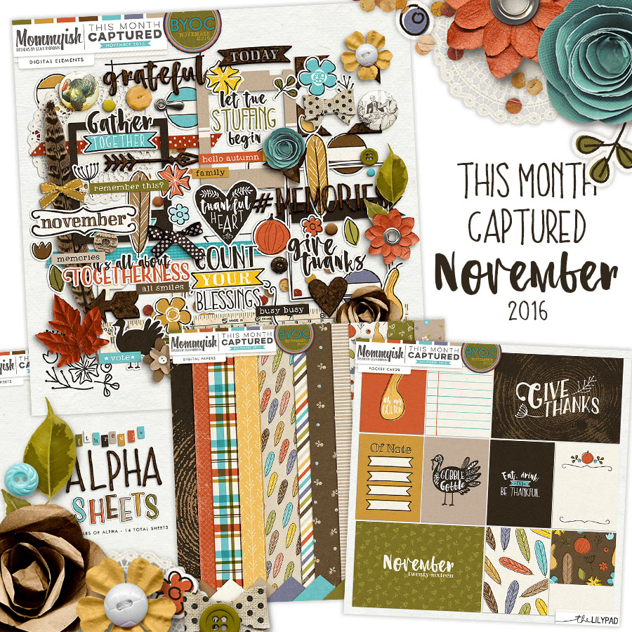 This Month Captured | November 2016 | Bundle
