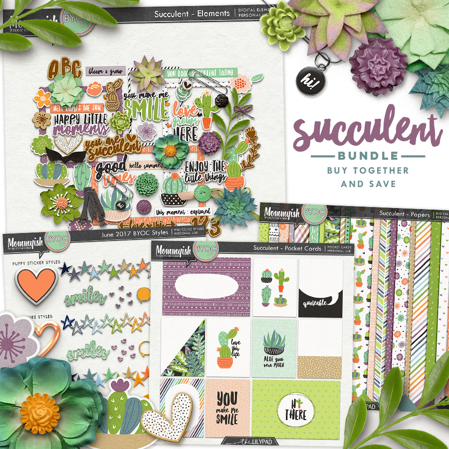 Succulent | Bundle