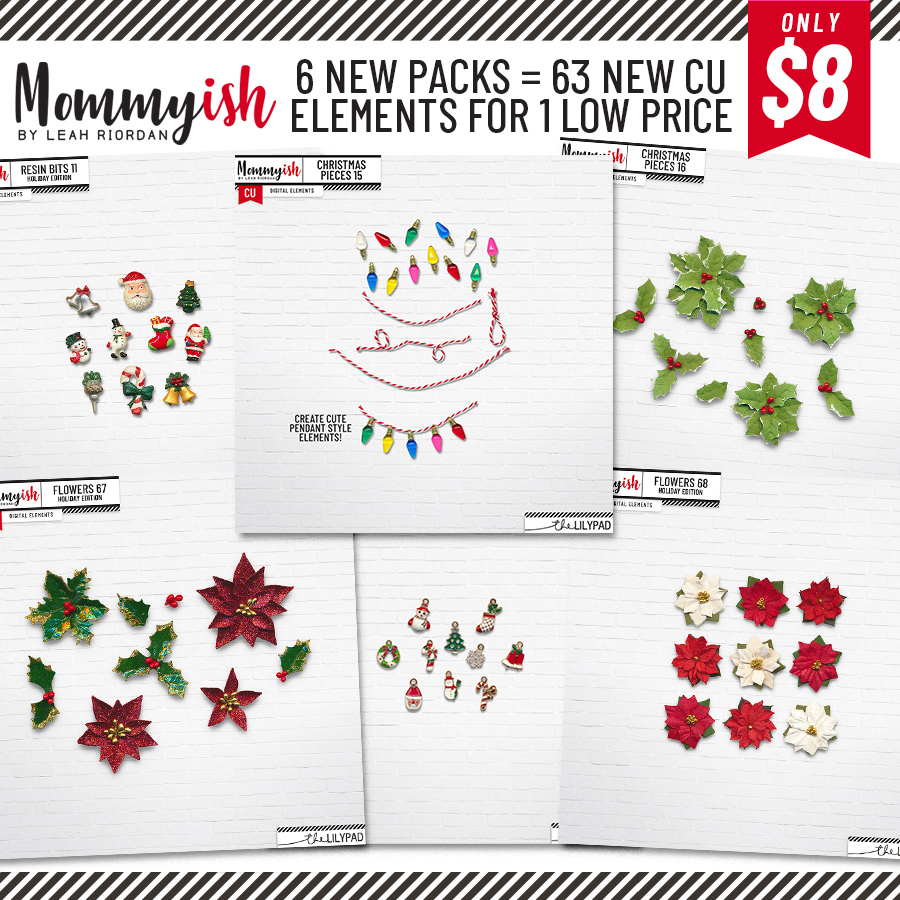 iNSD Holiday CU Bundle | Limited Offer