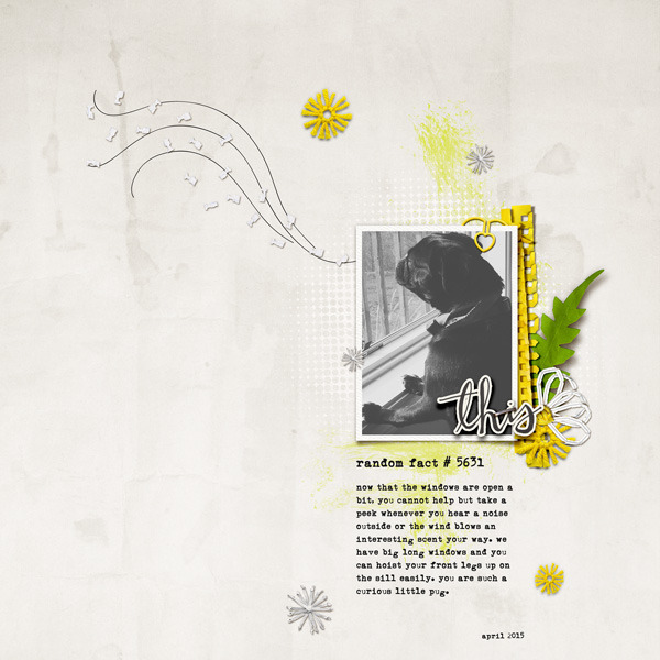 Daisies & Dandelions - Image 8