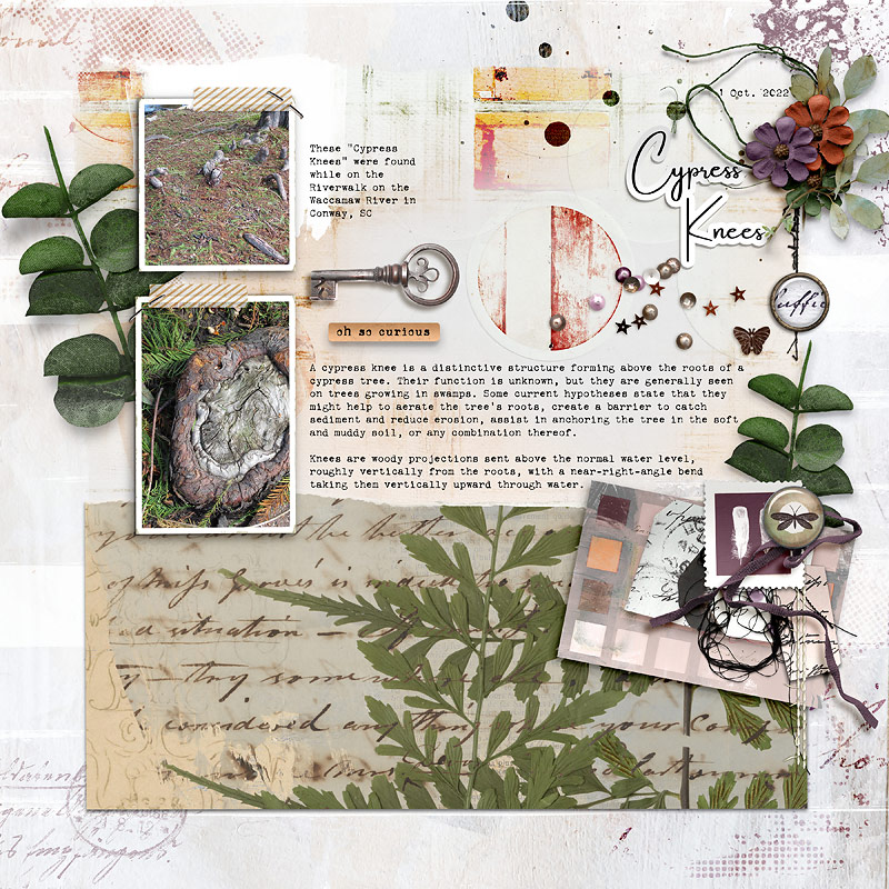 Hear My Voice: 13 - Imagining | Digital Scrapbooking Kit - Image 8