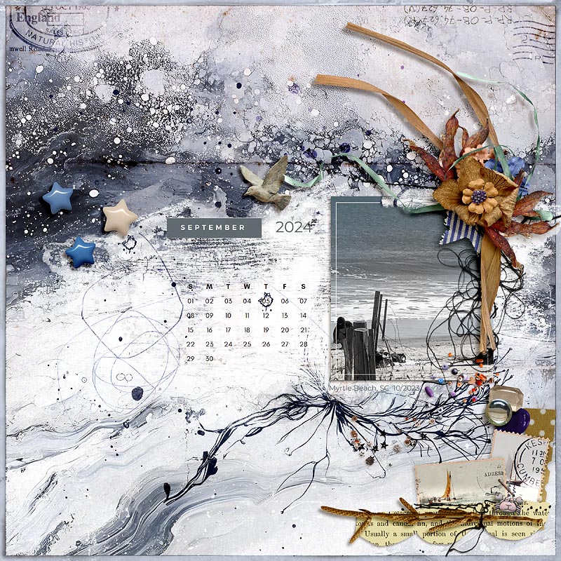 Thallus | The Complete Mixed Media Collection - Image 4