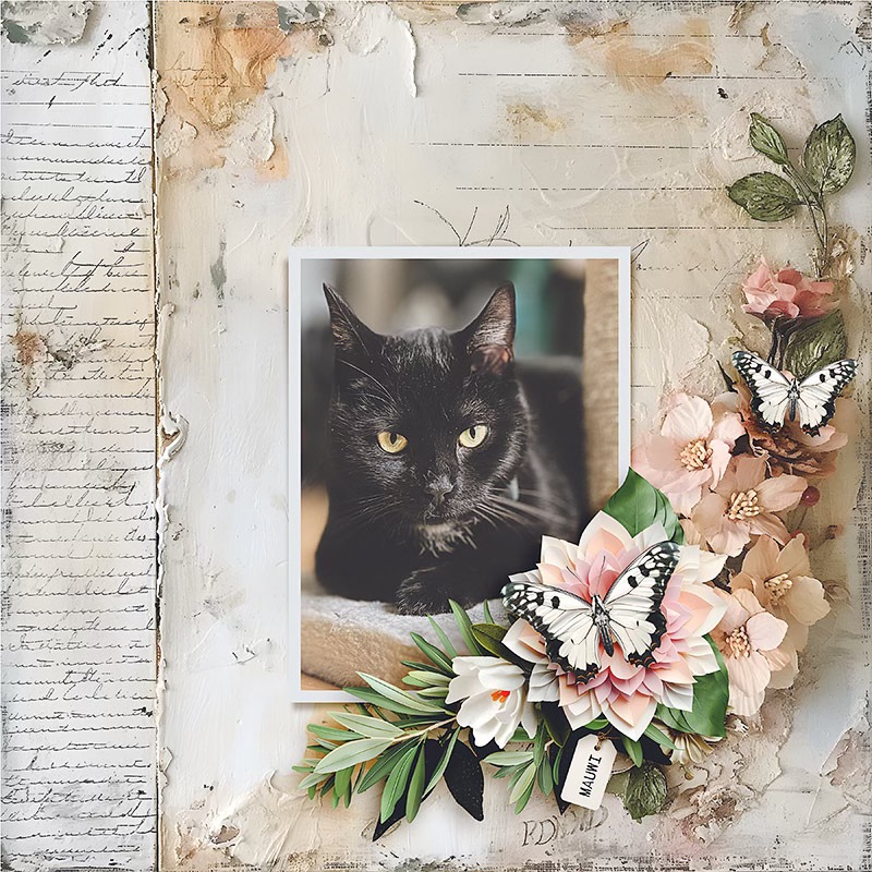 One Fine Day - Bundle by Joyce Paul - Image 6