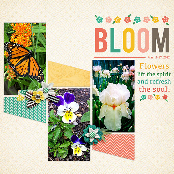 Garden Seeds - Image 5
