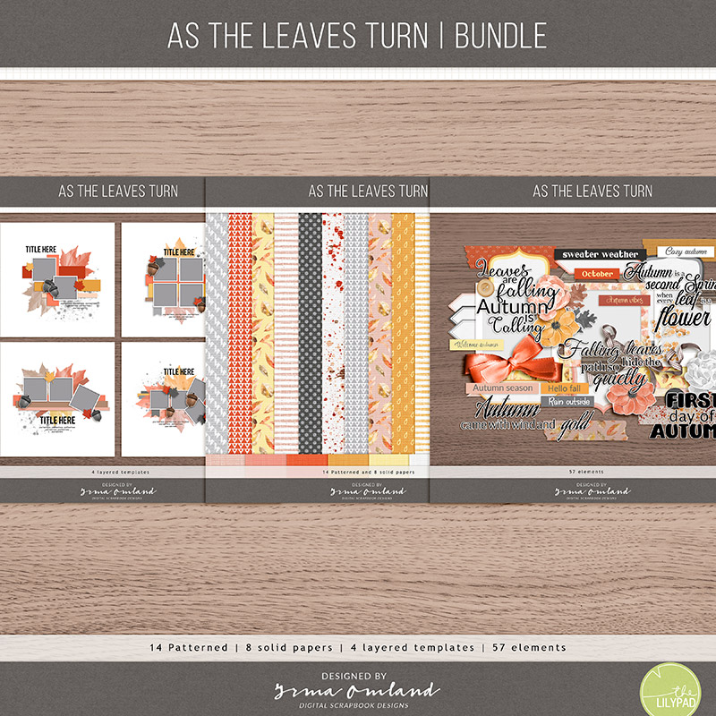 As the leaves turn | bundle