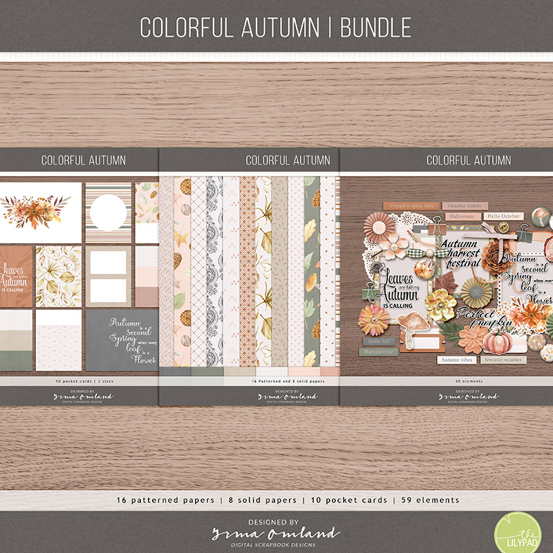 Colorful autumn | bundle