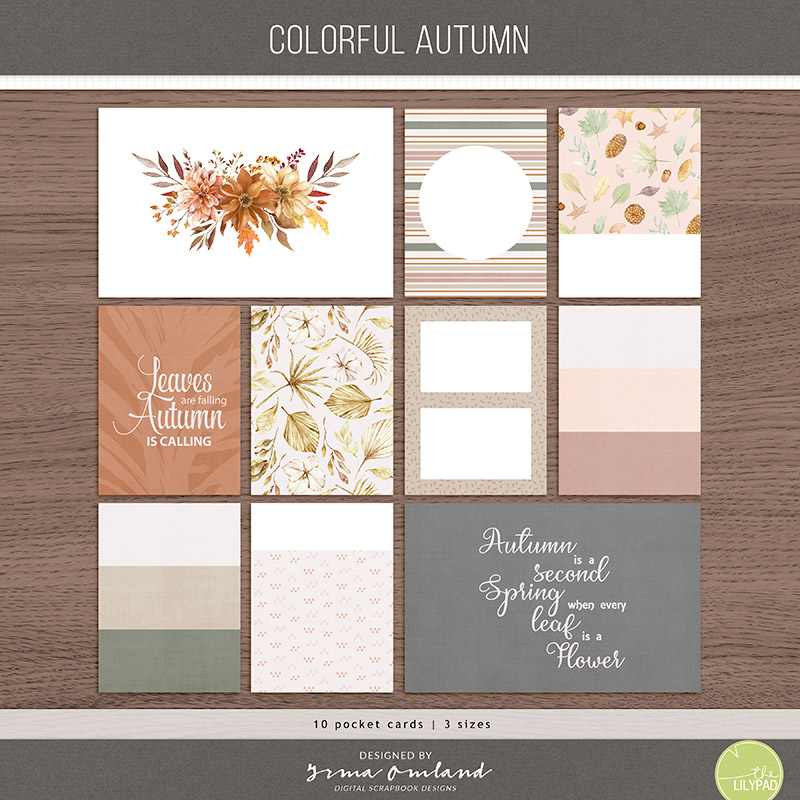 Colorful autumn | pocket cards