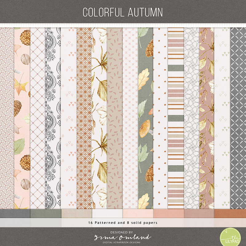 Colorful autumn | papers