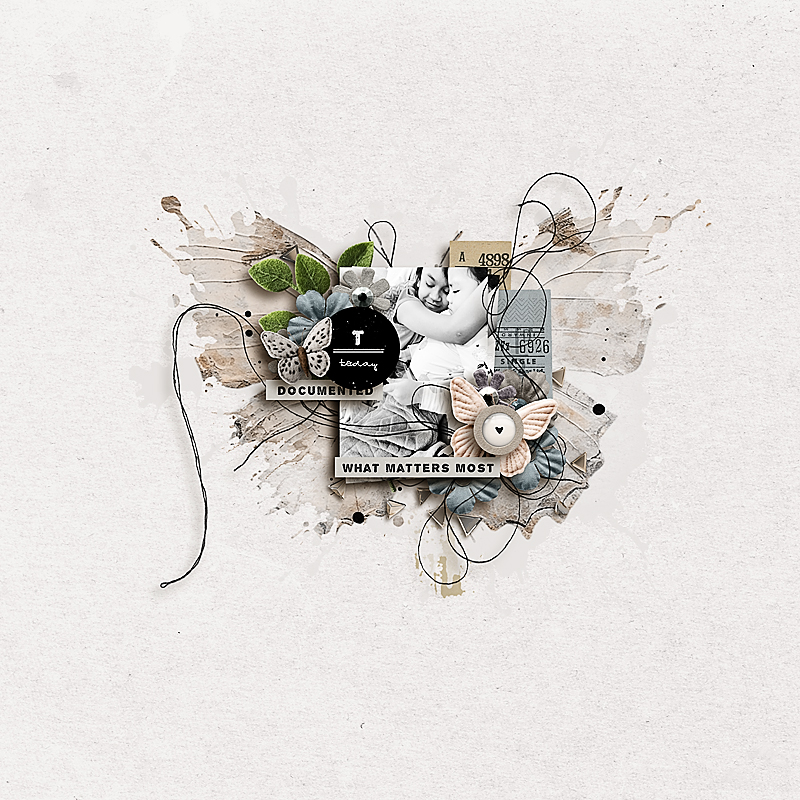 Foundation | Butterflies - Image 7