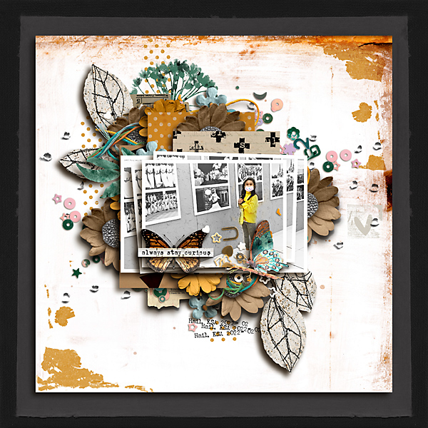 Stay Curious: Pocket Art Cards - Image 2