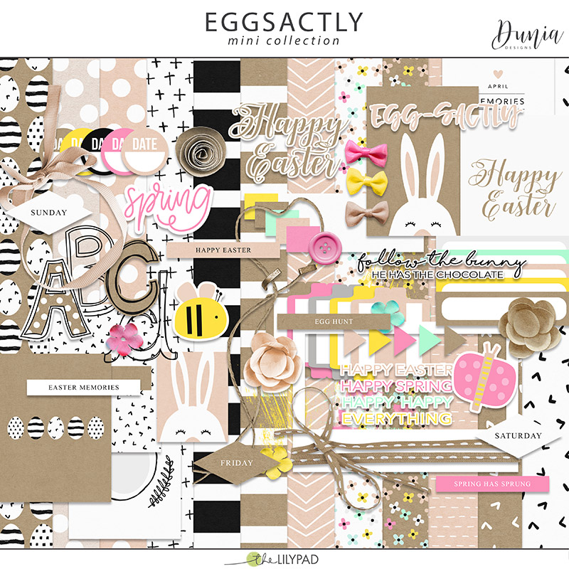 Eggsactly | Collection - Image 8