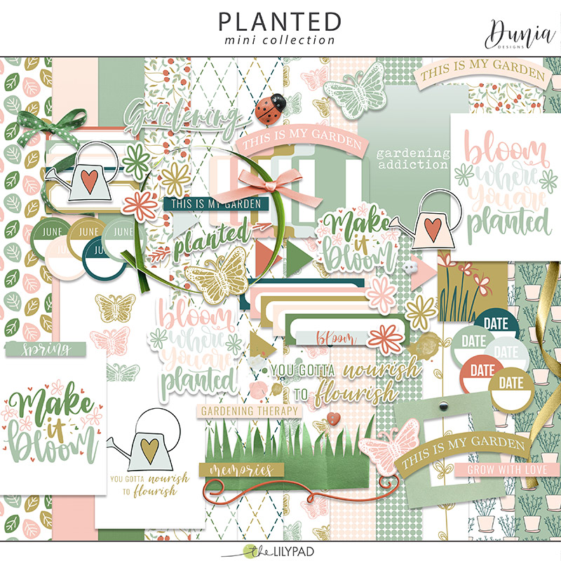 Planted | Collection - Image 4