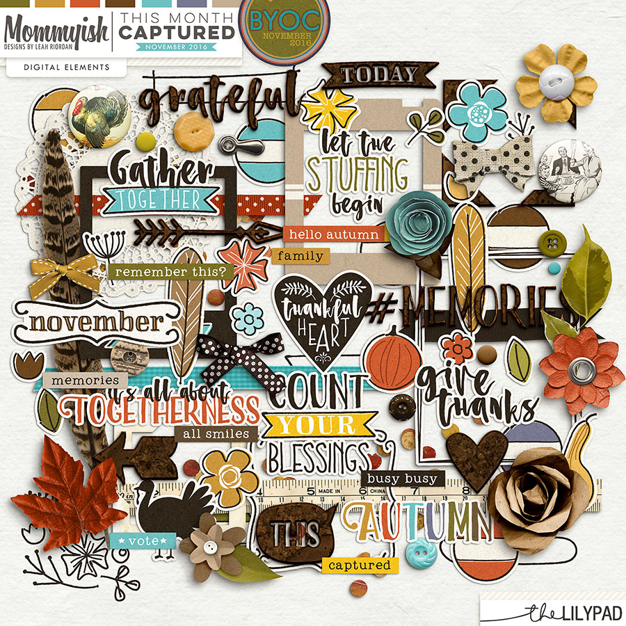 This Month Captured | November 2016 | Elements