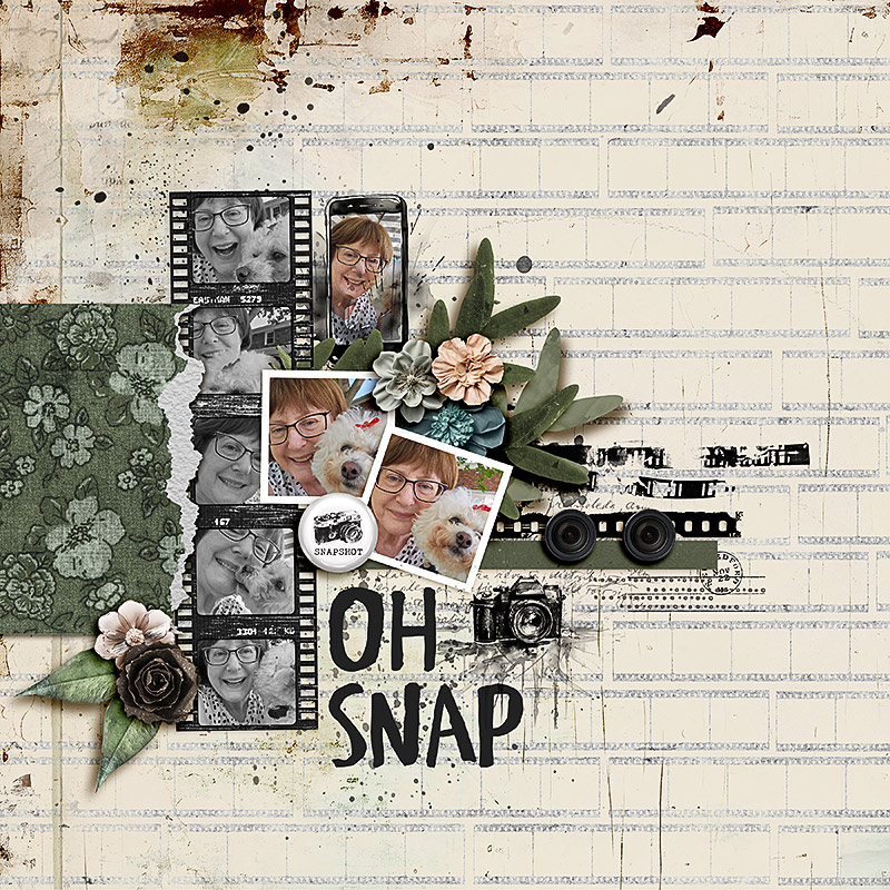 Snap | Papers - Image 10