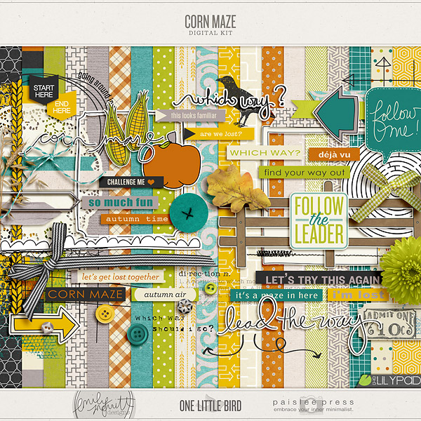 Corn Maze (a collaboration)