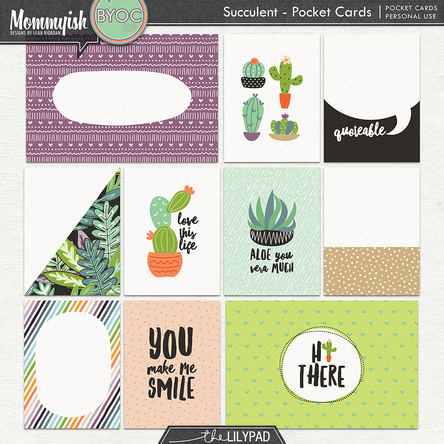 Succulent | Bundle - Image 2