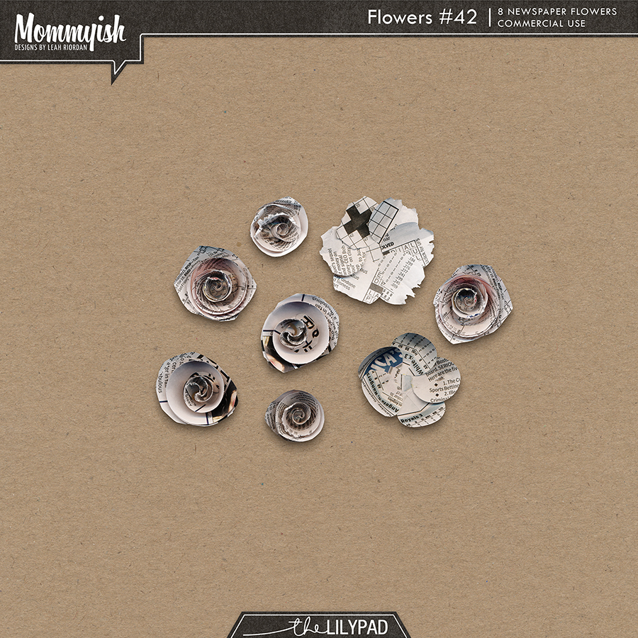 CU - Flowers #42 - Newspaper
