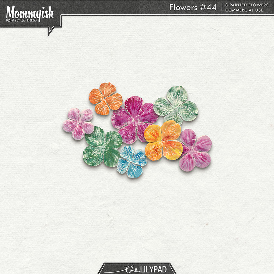 CU - Flowers #44