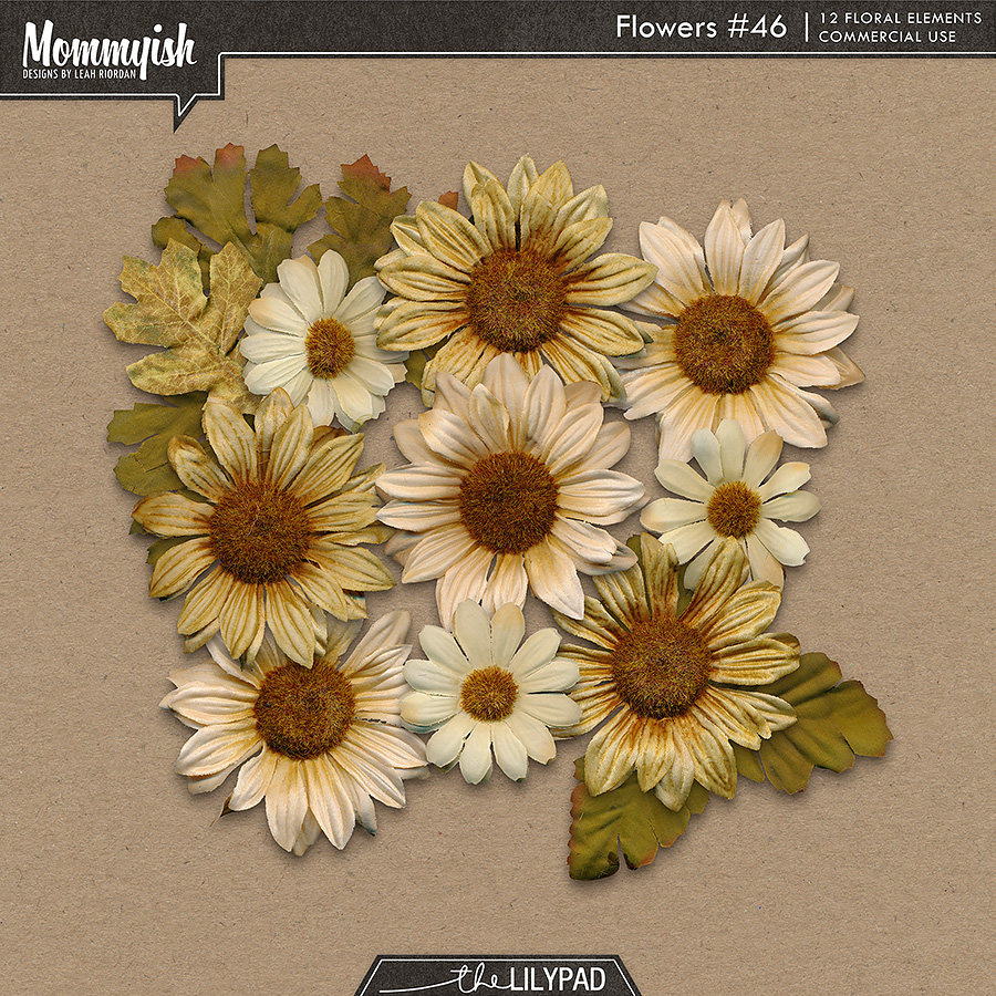 CU - Flowers #46