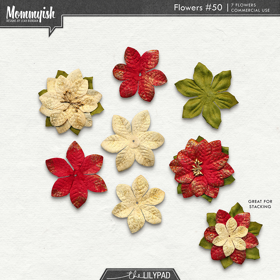 CU - Flowers #50