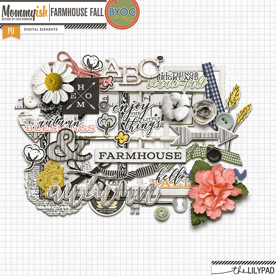 Farmhouse Fall | Elements