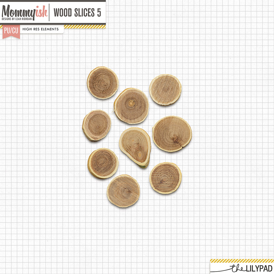 CU - Wood Slices #5