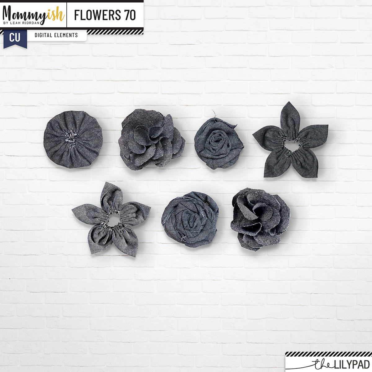 CU - Flowers #70