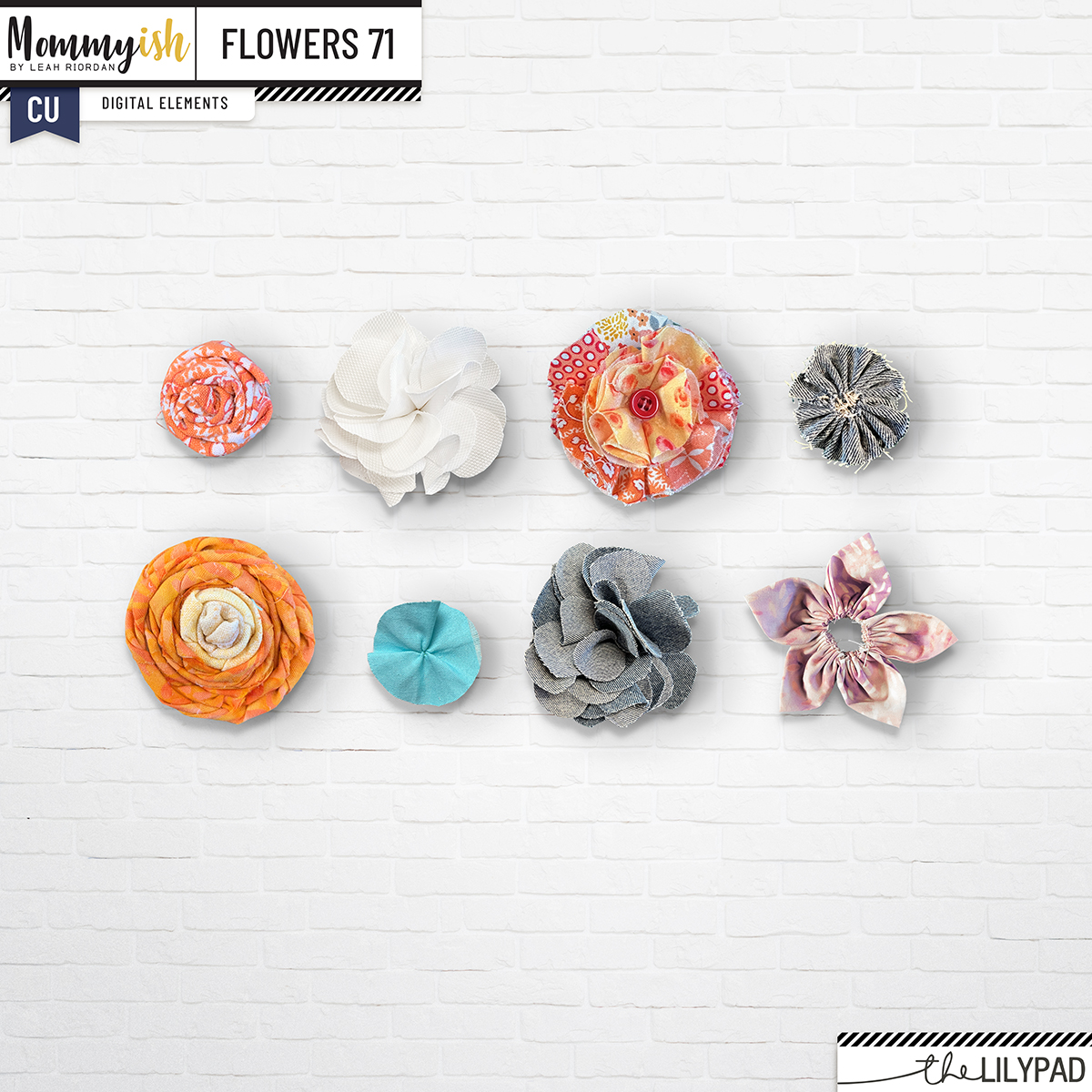 CU - Flowers #71