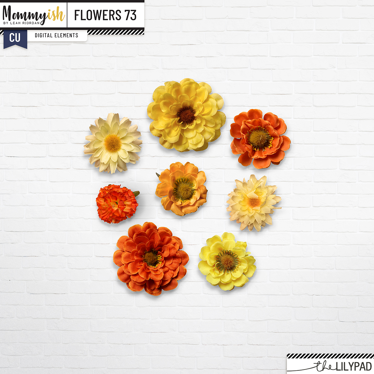 CU - Flowers #73