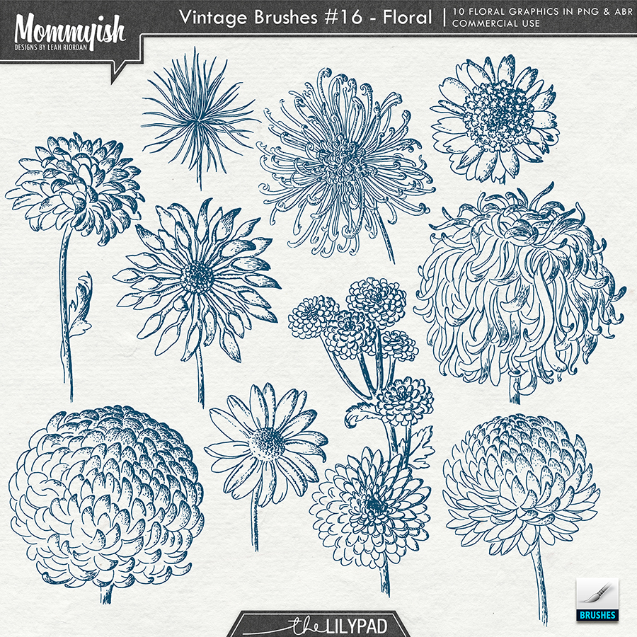 CU/PU - Vintage Brushes #16 - Floral - Image 3