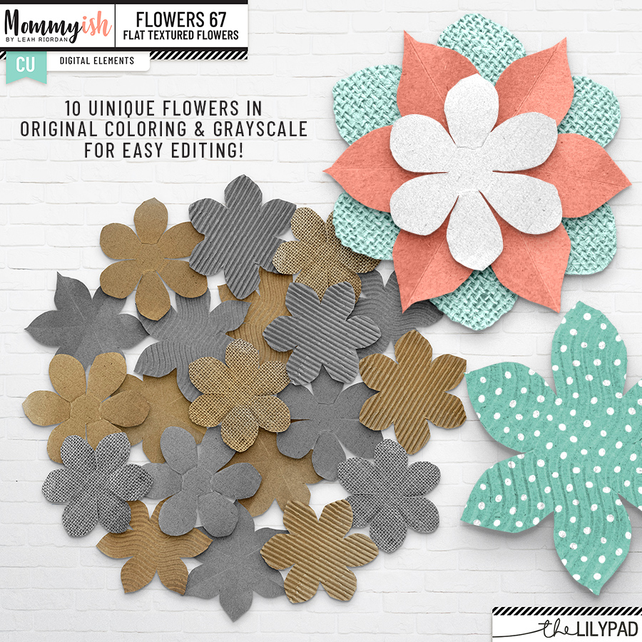 CU - Flowers #67 - Image 2