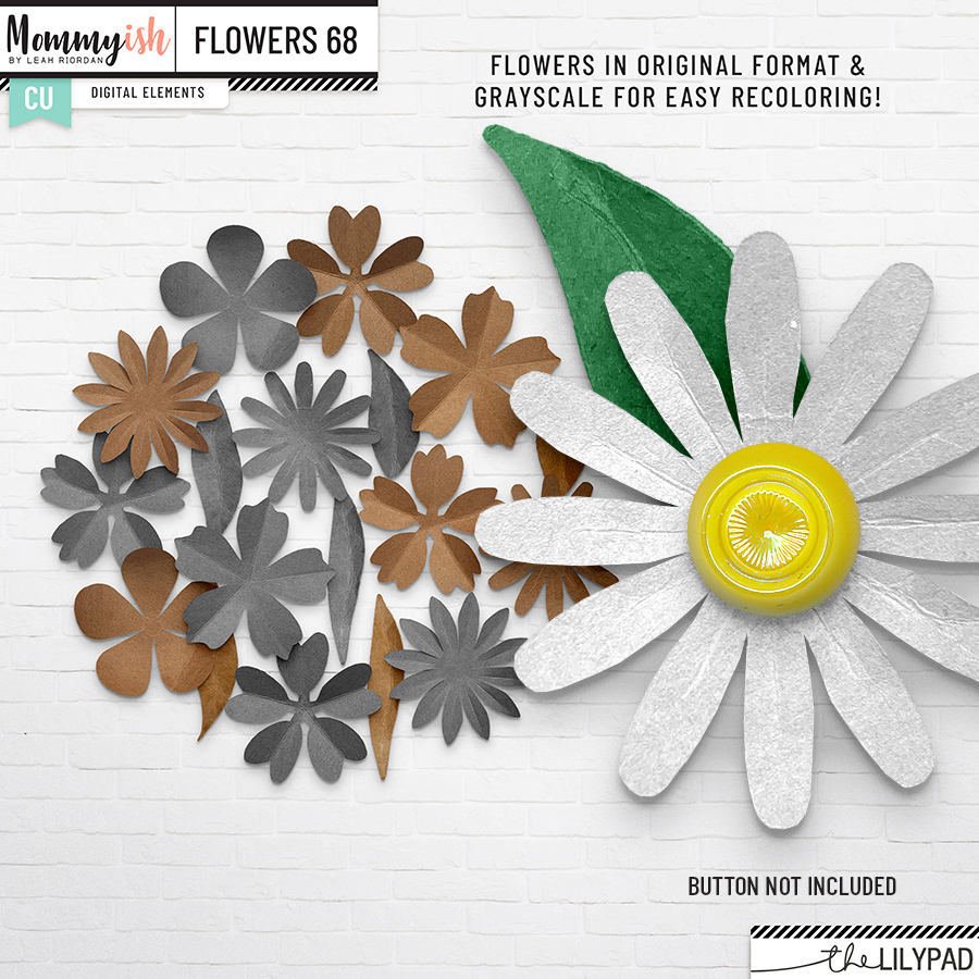 CU - Flowers #68 - Image 2