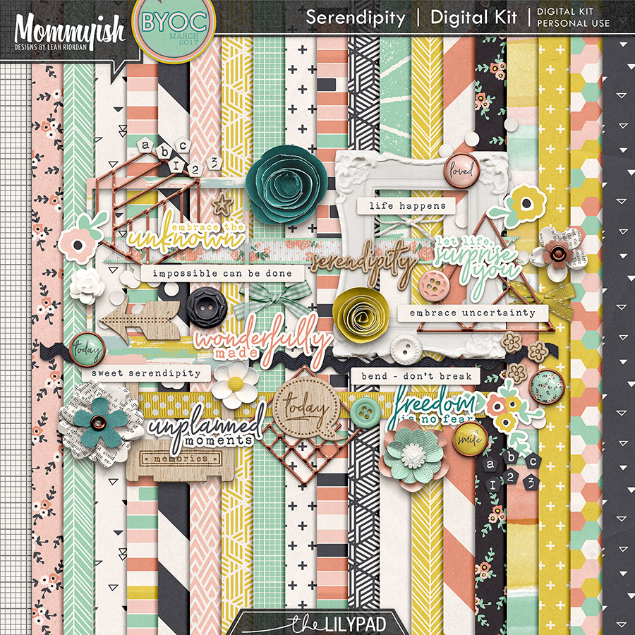Serendipity | Bundle - Image 9