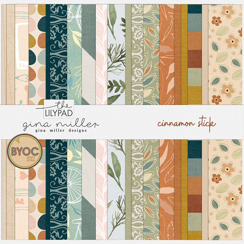 Cinnamon Stick Paper Pack