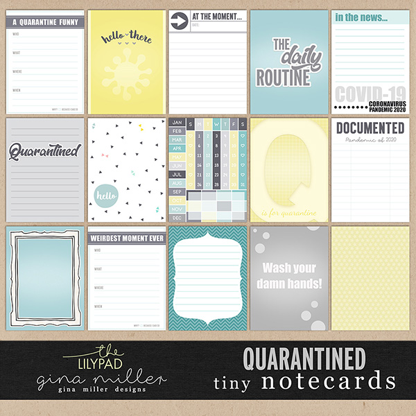 Quarantined Tiny Notecards