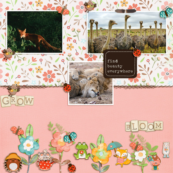 Willow - Image 8