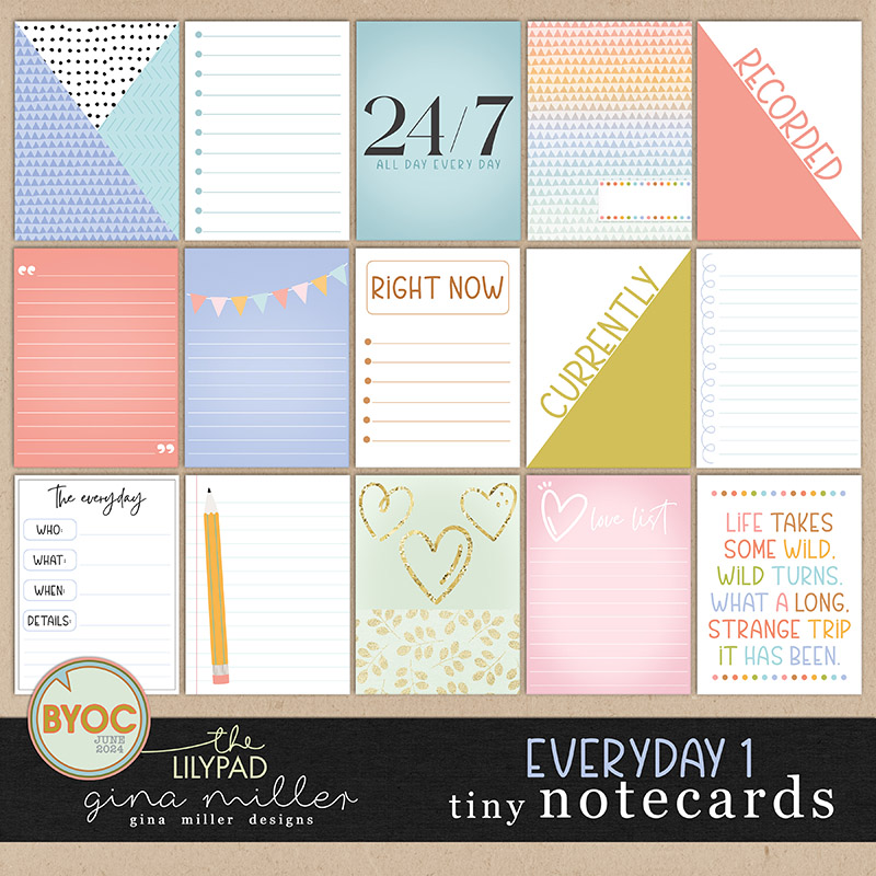 Everyday 1 Tiny Notecards