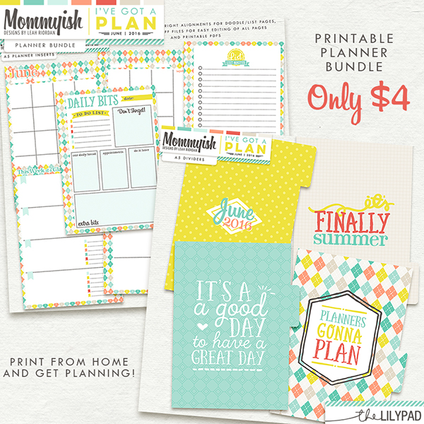 I've Got A Plan | June 2016 | Planner