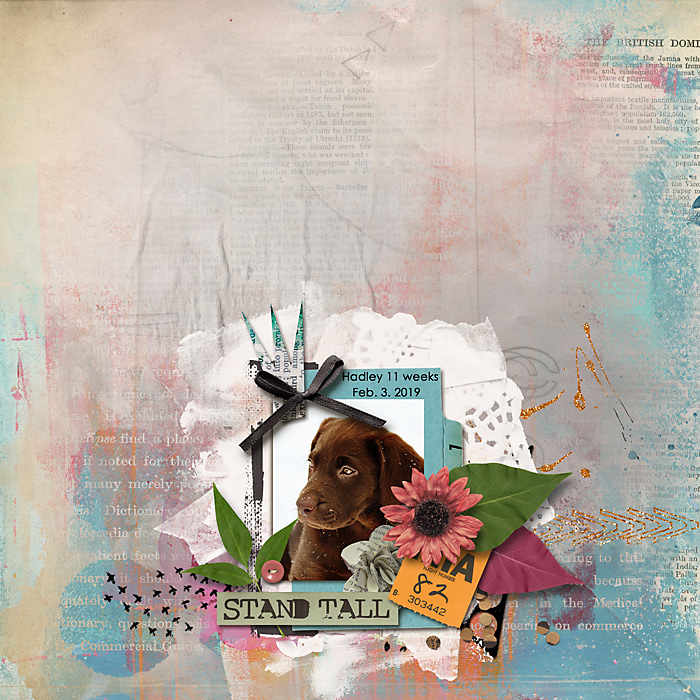 Stand Tall Darling: Impasto - Image 7