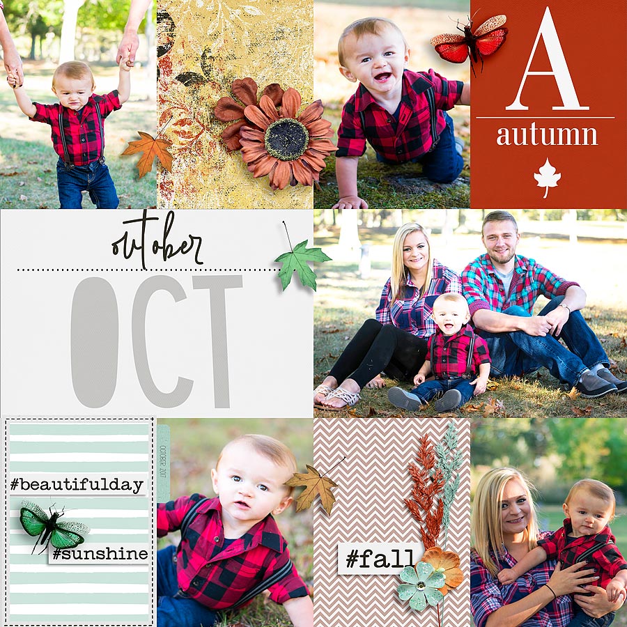 Indian Summer - Bundle - Image 4