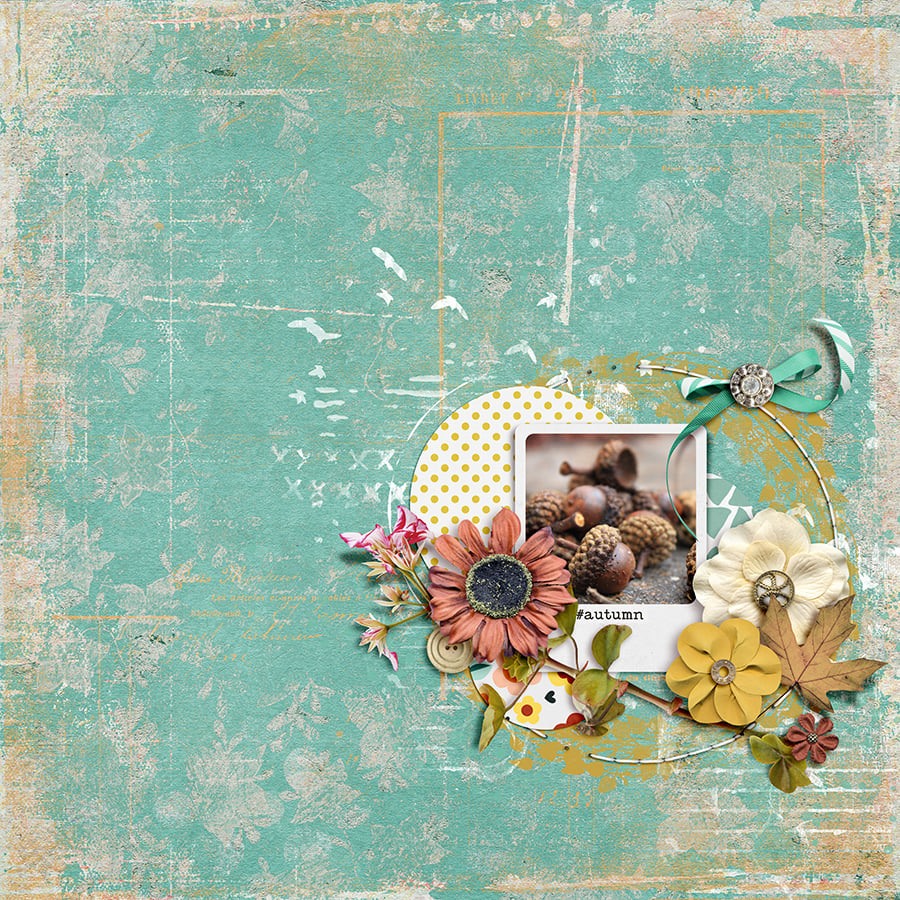 Indian Summer - Bundle - Image 5