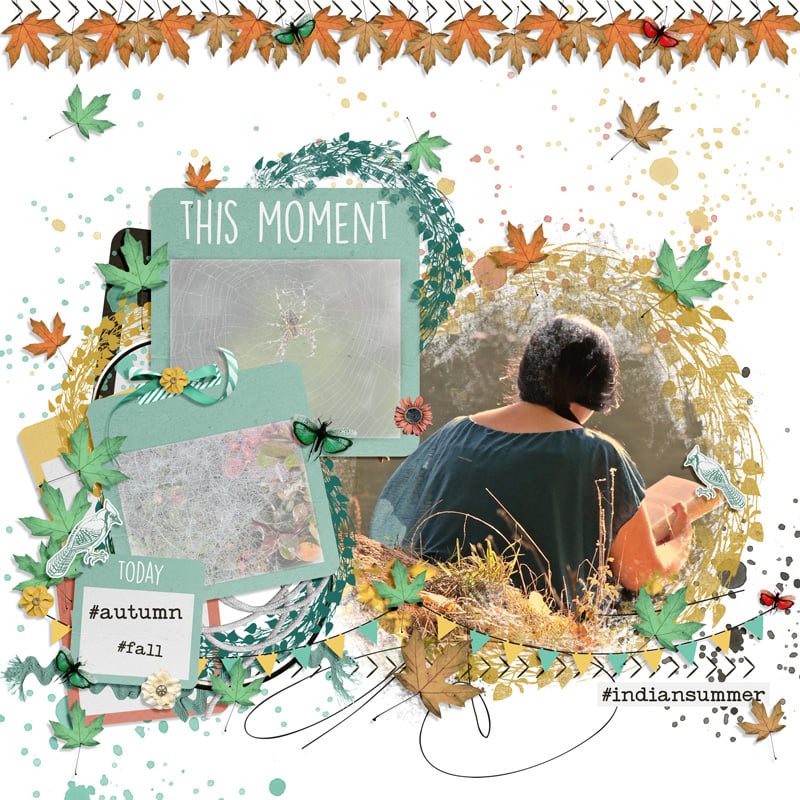 Indian Summer - Bundle - Image 6