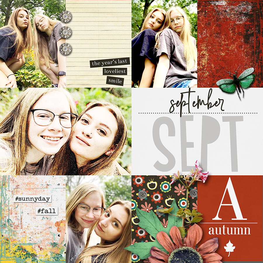 Indian Summer - Bundle - Image 7
