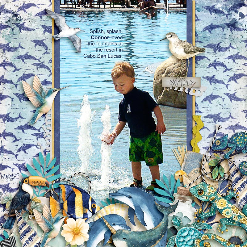 Blue Lagoon V2 - Bundle - Image 6