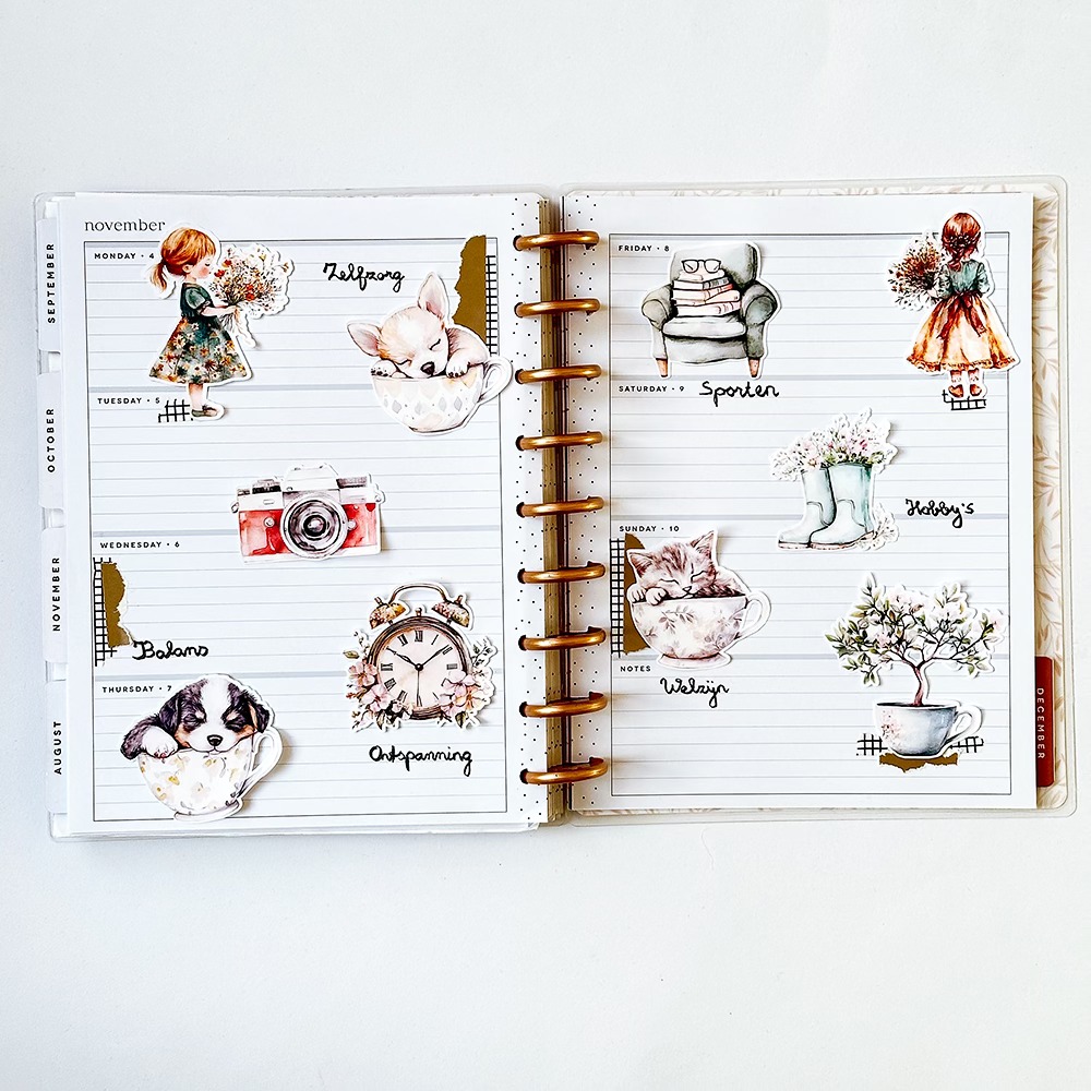 Everyday Stories - Bundle by Joyce Paul - Image 2