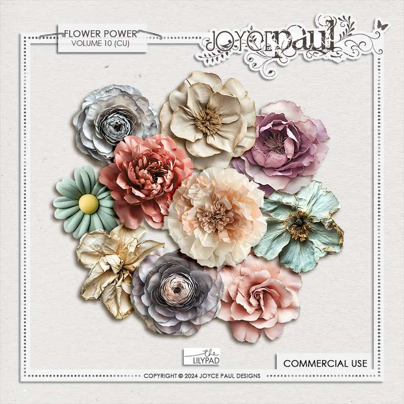 (CU) Flower Power - Bundle Three - Image 2