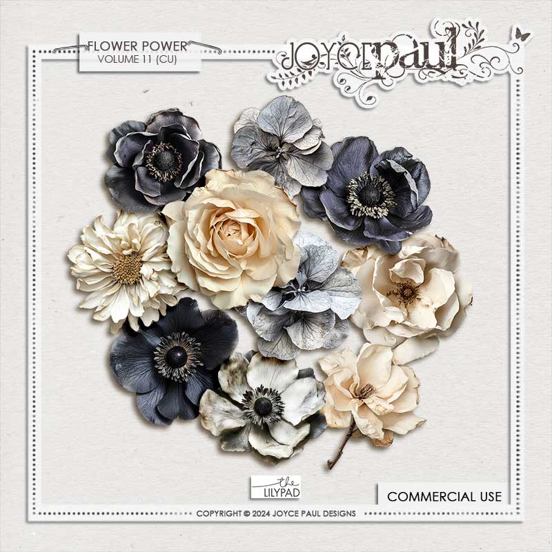 (CU) Flower Power - Bundle Three - Image 3
