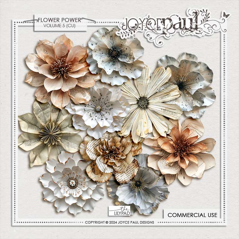 (CU) Flower Power - Bundle Two - Image 2