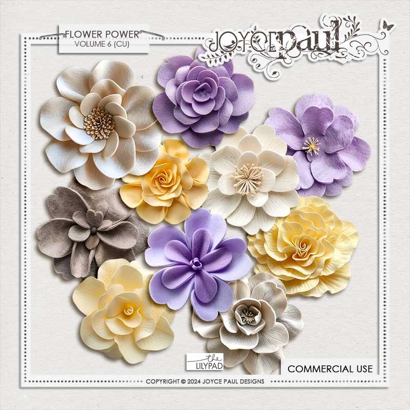 (CU) Flower Power - Bundle Two - Image 3